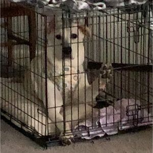 Meet your Posher, Jade